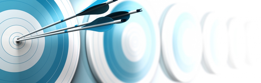 Effective Performance Targets: 7 Key Questions